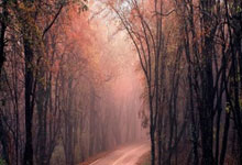 欧预赛尽显球队实力，比赛节奏紧凑刺激