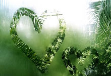 实力对决，球场上的精彩瞬间让人心跳加速