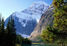 欧文的高效表现让球迷们惊叹不已