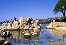 高位压迫战术带来成功，RB莱比锡赢得连胜