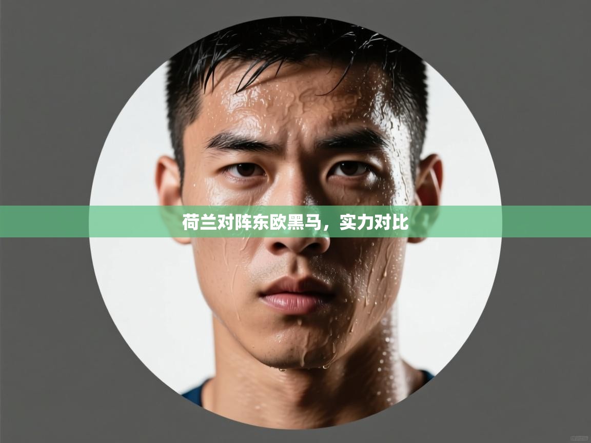 荷兰对阵东欧黑马，实力对比  第1张